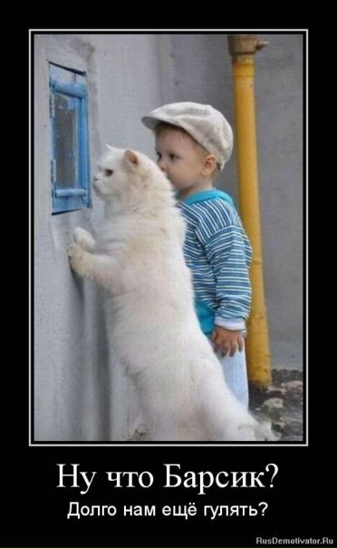 №36, Борис Будыка, Зугрэс №36, Борис Будыка, Зугрэс