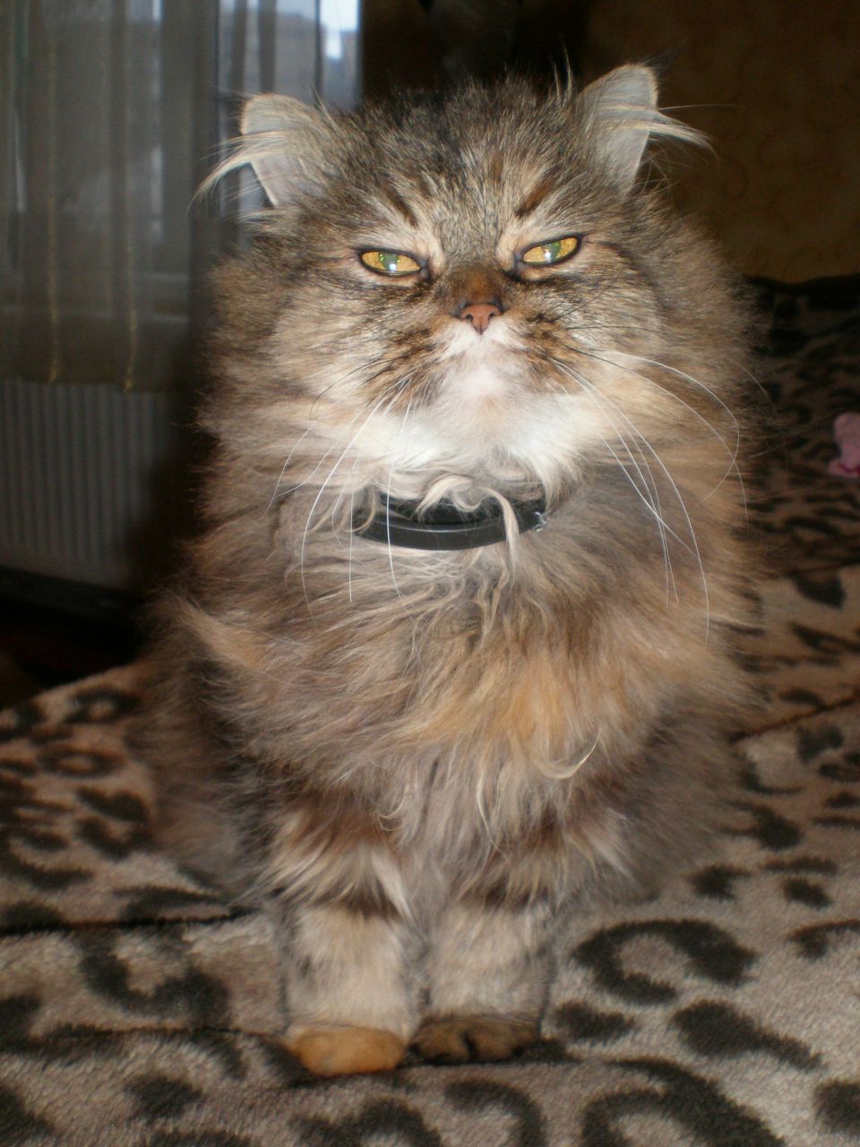 Настена Сторчак | Винница