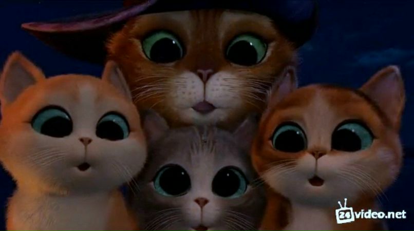 Оля Перова | Санкт-Петербург