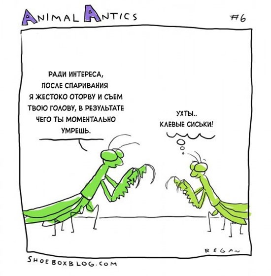 №3, Юля Тесля, Киев №3, Юля Тесля, Киев