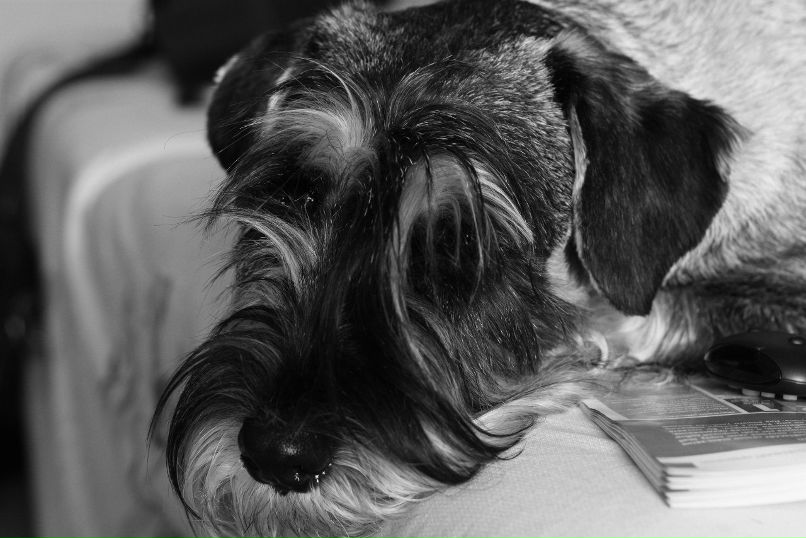 Елена Отрох | Смоленск