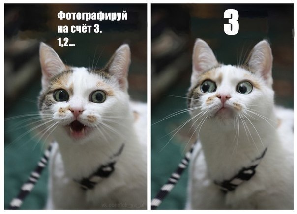 Ирина Рыбакова | Казань