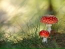 Фотография Александр Иванов