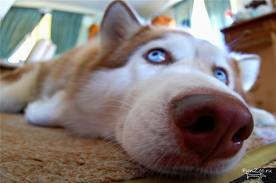 Вадим Гордеев | Одесса