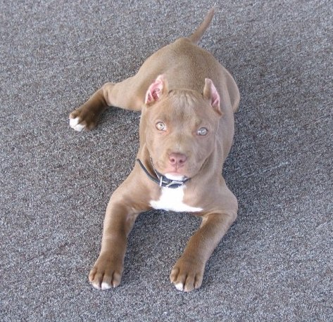 Эдик Вербицкий | Киев