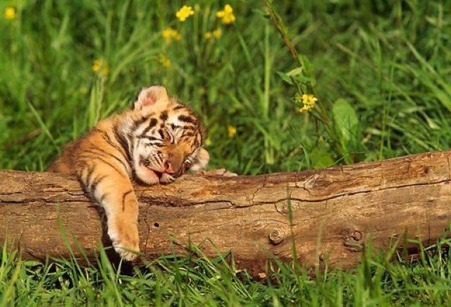 Дилором Филиппова | Камышин