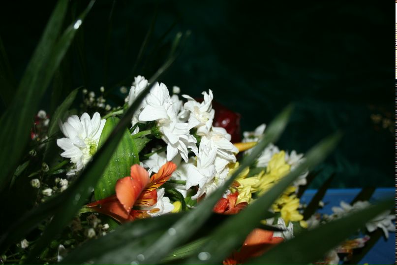 Роман Змей | Краматорск