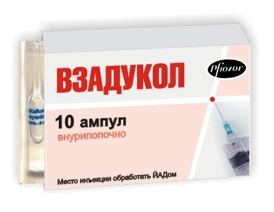 Ollo Illi | Санкт-Петербург