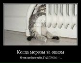 Фотография Кирюха ...