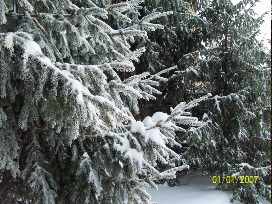 Янина Литвин | Кропивницкий / Кировоград