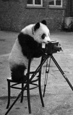 Ирина Ажимова | 