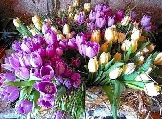 Оксана Федотова | Каменец-Подольский