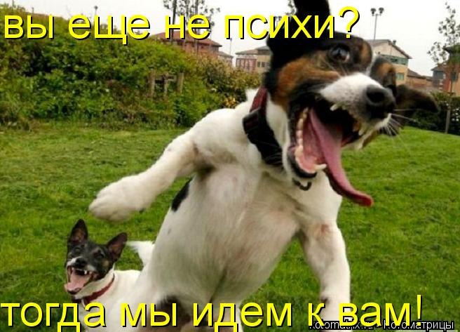 Вадим Ермоленко | Светлый