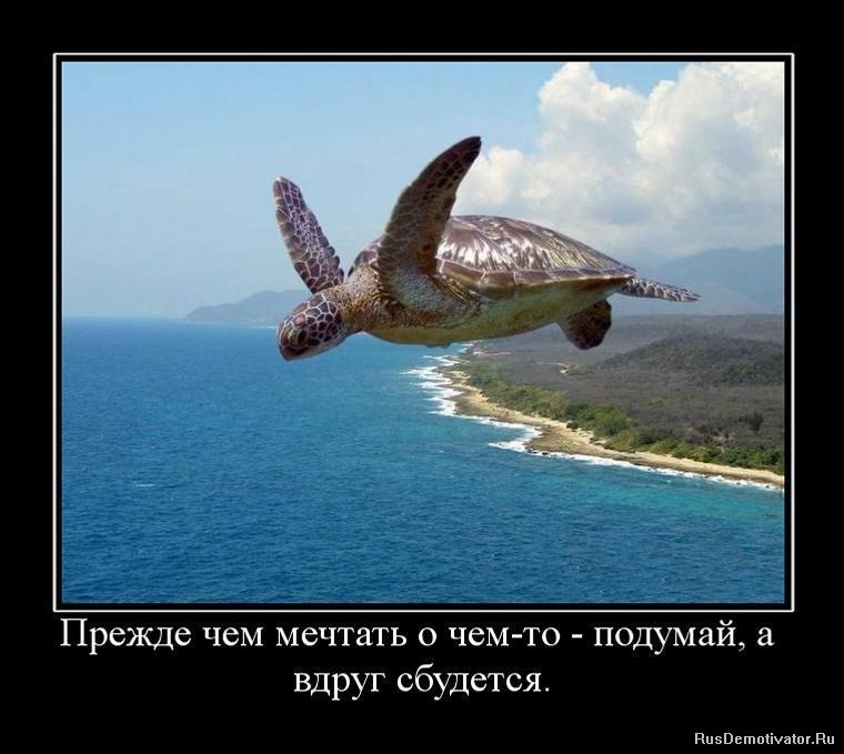 Кирилл Обухов | Ростов-на-Дону