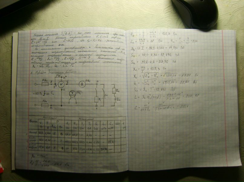 Дзяніс Куцюн PANda | Минск