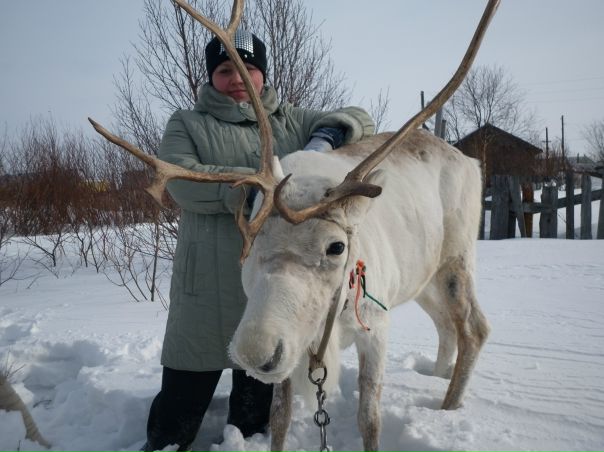 №31, Виктория Казанова, 40 лет, Мончегорск, Россия №31, Виктория Казанова, 40 лет, Мончегорск, Россия