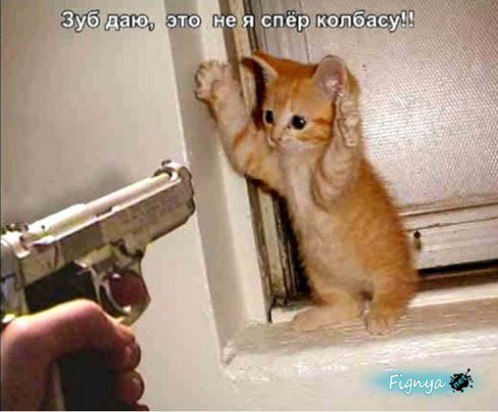 Аркадий Белкин | Севастополь
