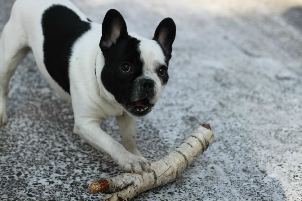 Иван Наумов | Тюмень