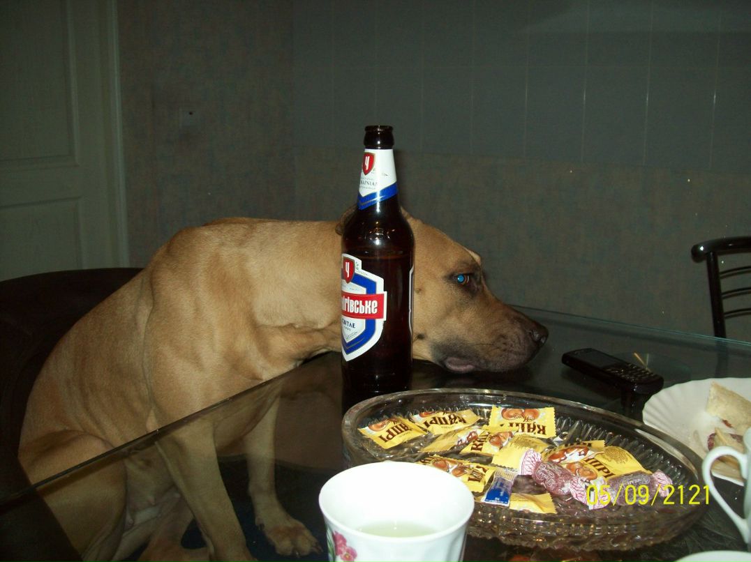 Олечка Палий | Желтые Воды