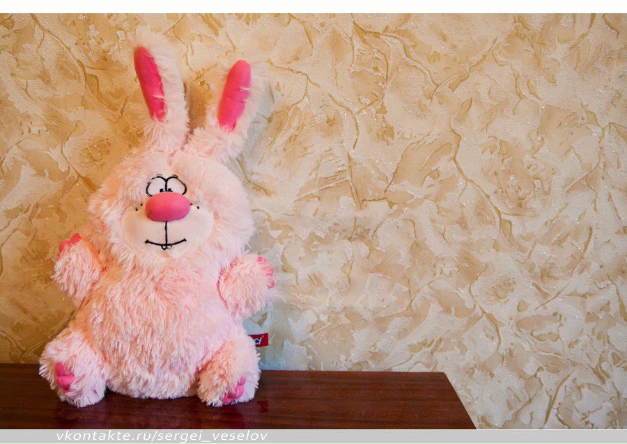 Дмитрий Жекалов | Санкт-Петербург