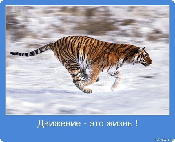 Хороший Человек | 