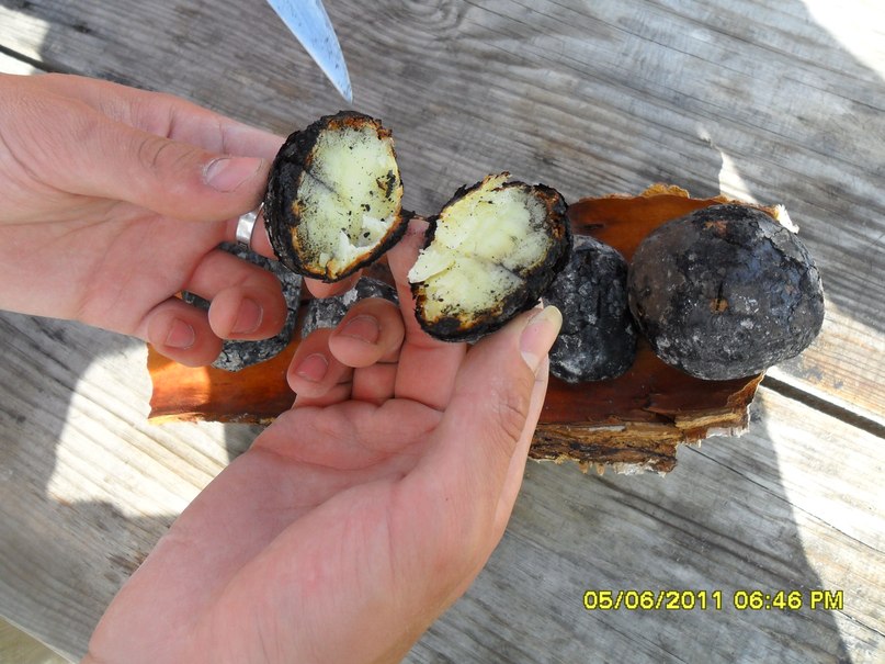 Петр Ротор -] hd [- | Челябинск