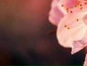 Женечка Великая | Одесса