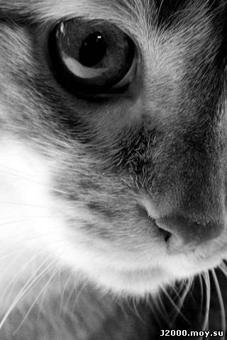 Таня Воронова | Москва