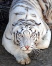 №19 Лёха Никитин 16.10: профиль, фото, статус - ВКонтакте