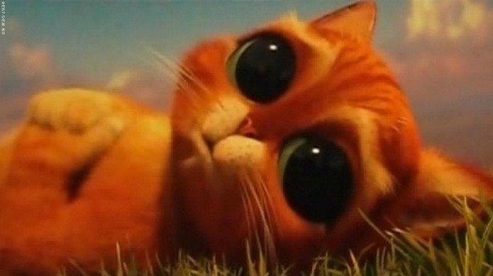 Алина Ковалёва | Amsterdam