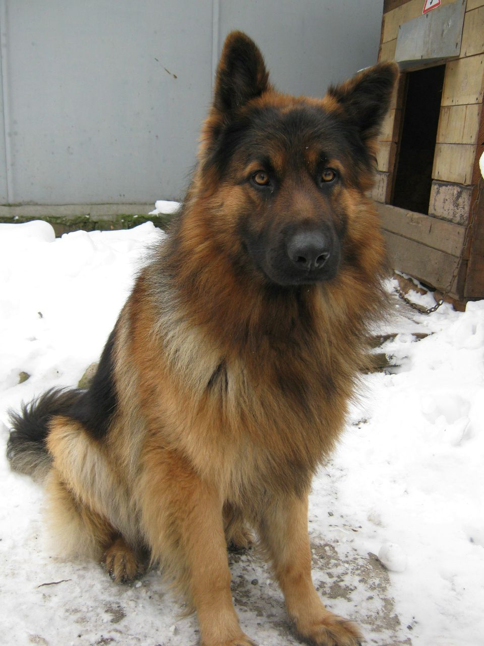 Артур Шмаленко | Николаев