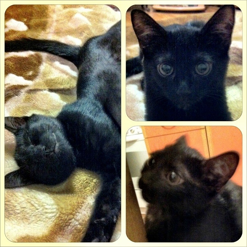 Екатерина Майсюк | Гродно