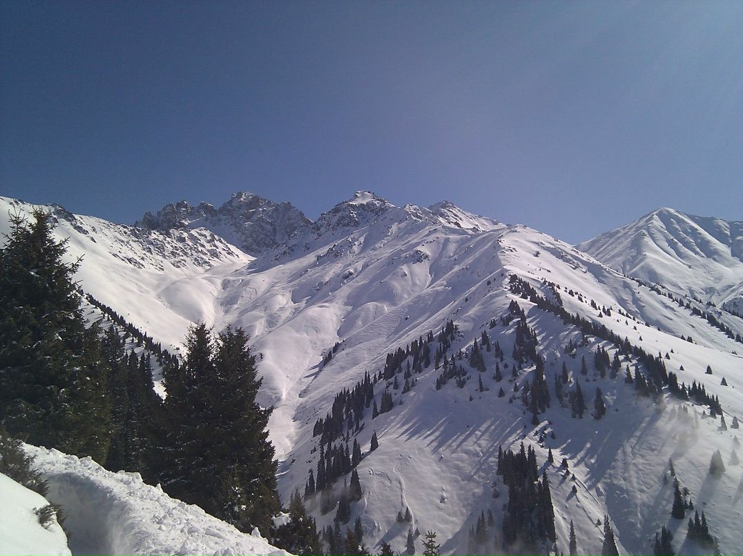 Константин Комаричев | Алматы