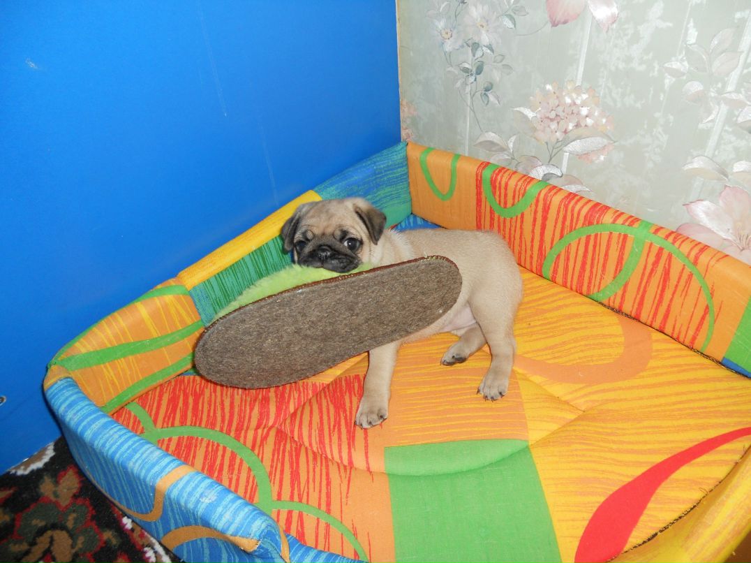 Ольга Земцова *°•.ღ♥ღ.•°* | Киров