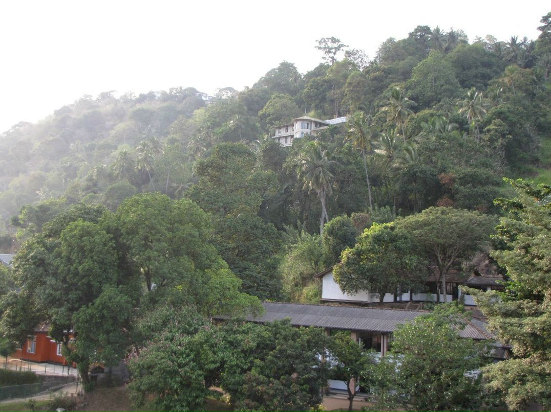 Елена Реснайс | Санкт-Петербург