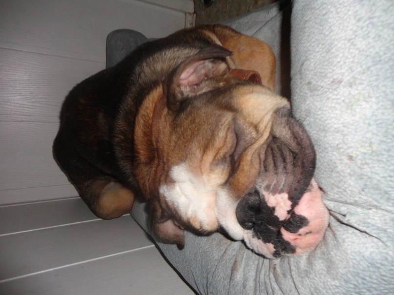 Anton Driftov | Челябинск