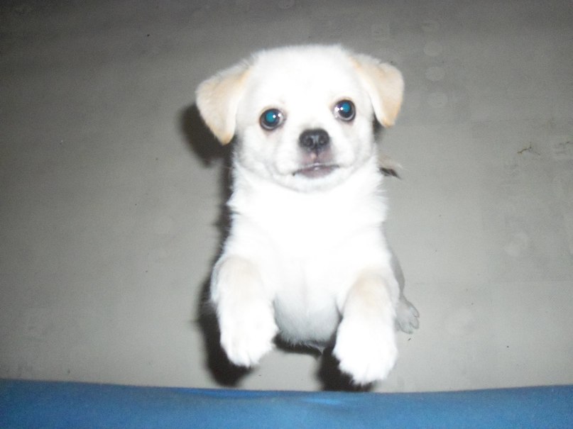 Aleksandra Danilenko | 