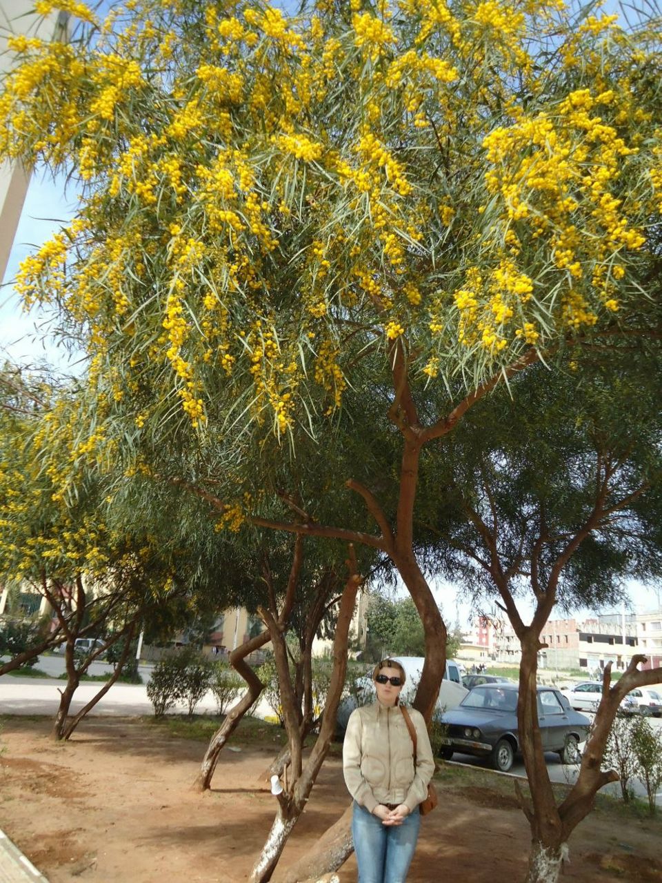 Катя Птичкина | Санкт-Петербург