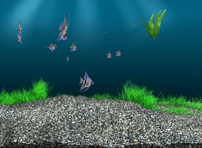 Олеся Фомина | Москва