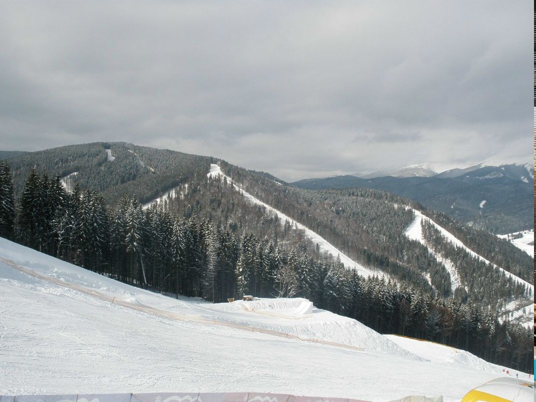 Ксения Парусимова | Запорожье