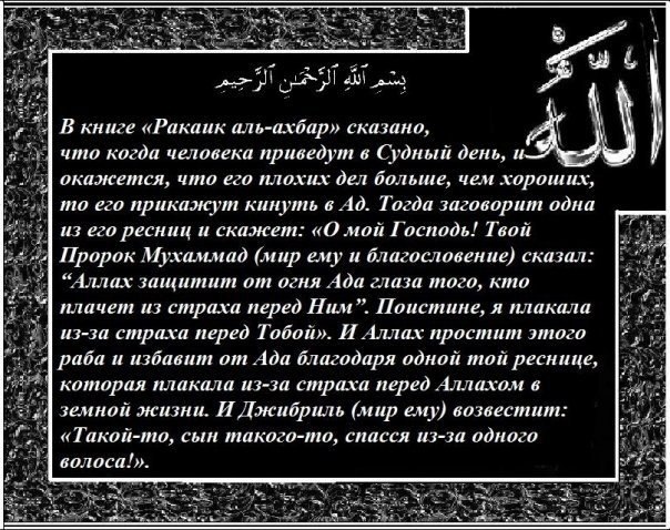 Ислам Рамазанов | 