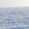 Аватар: Артём Телеуца