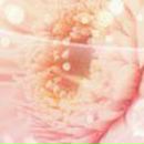 Альбина Гильманова | Уфа