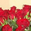 Альбина Гильманова | Уфа