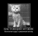 №4 Дарья Замолотова 11.05.1988: профиль, фото, статус - ВКонтакте