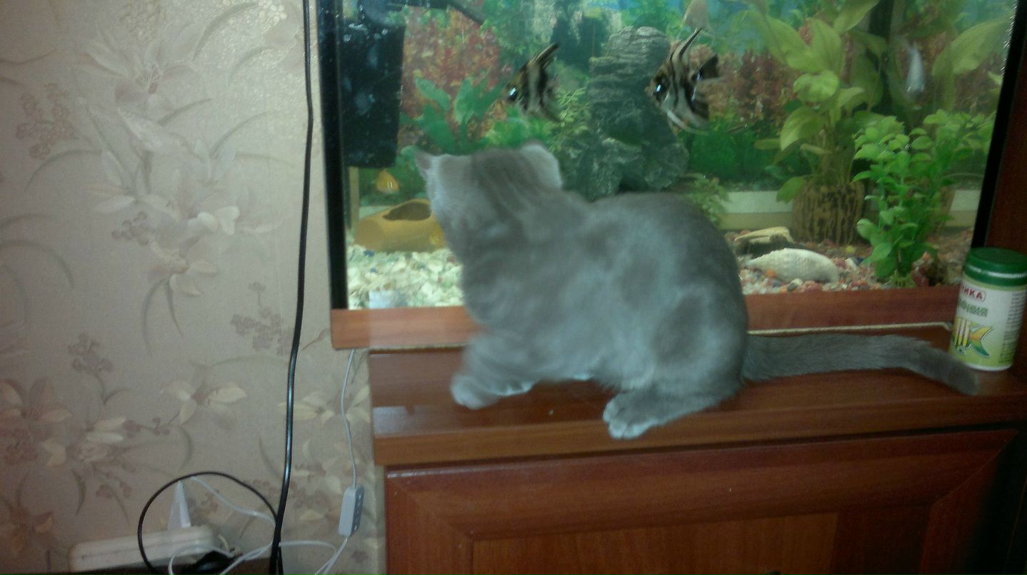 Марина Захарова | Санкт-Петербург