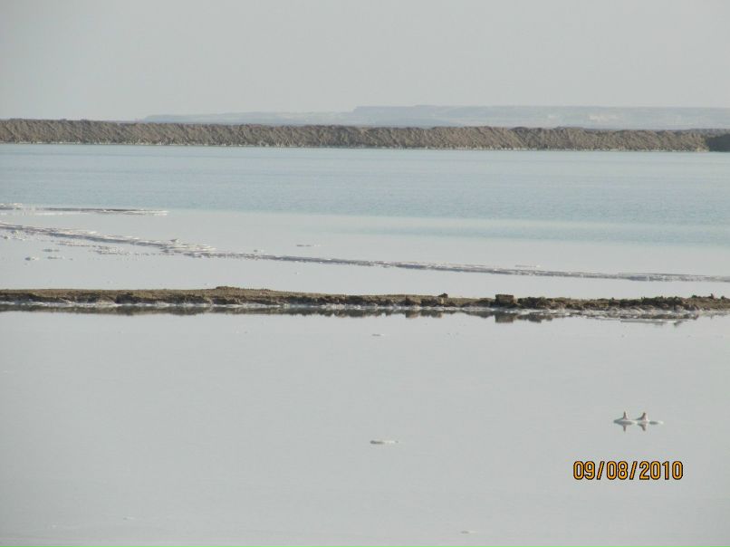 Сергей Дубровский | Череповец