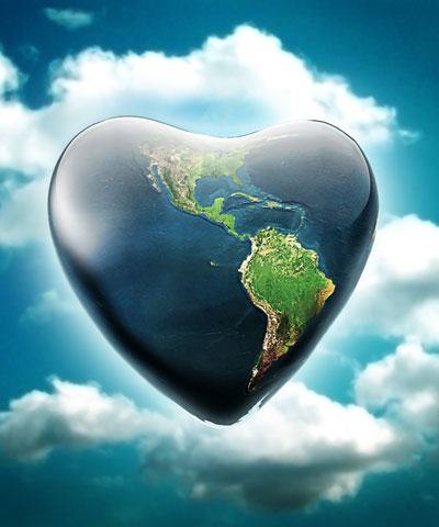 Ягода Малина | Milano