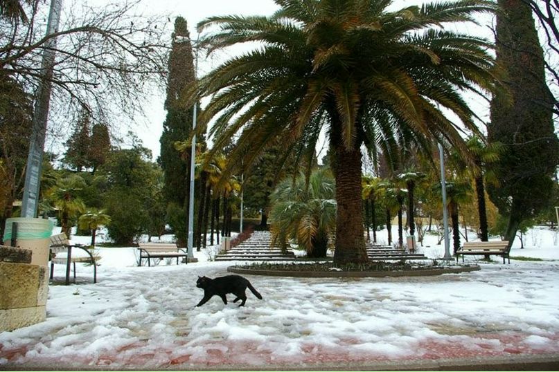 Манечка Золотова | Калининград