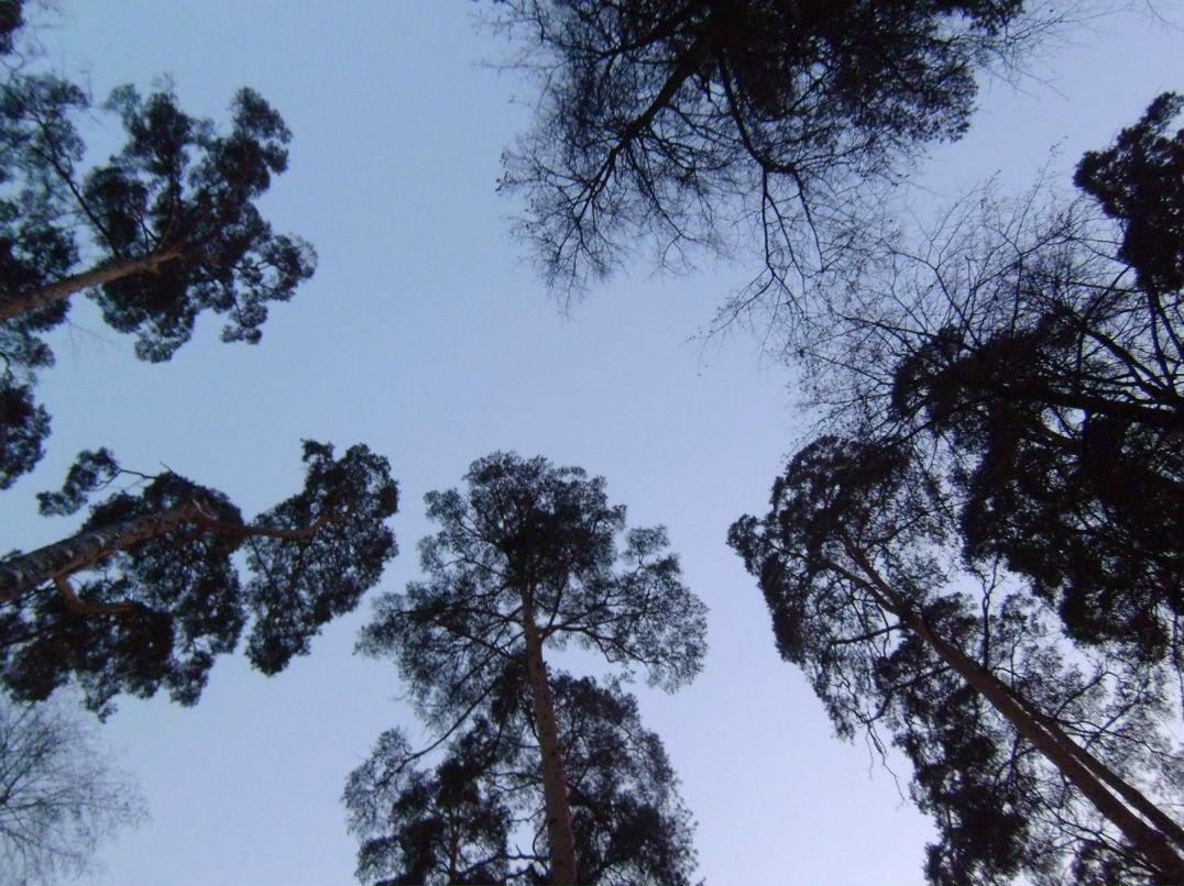 Константин Де Брильи | Владивосток